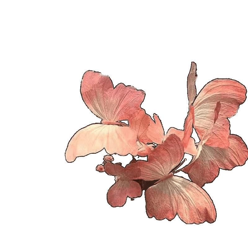 Große 3D Schmetterlingskunst für Hochzeitsdeko & Fotografie