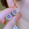 Sweet Temperament, Purple Ear Buckle Earrings, New Style, Versatile for Daily Commuting, Compact and Exquisite Earrings and Earrings