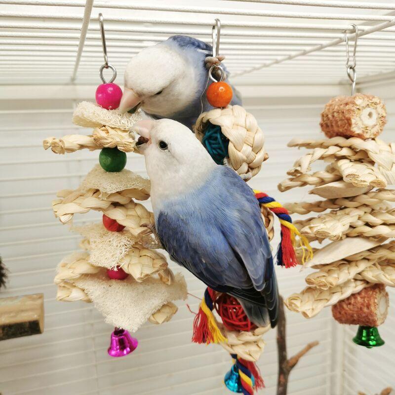 Natural Parrot Bird Toy Natural Cuttlefish Bone Vine Ball Luffa Corn Husk tooth Grinding Cage Hanging Supplies Bird Accessories