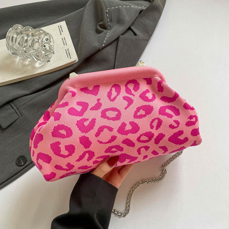 Autumn New Chain Leopard Print Bag Trendy Personalized Women's Bag Texture Women's Casual Shoulder Messenger Bag