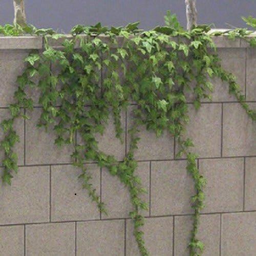 

Wataku Diorama Accessory Series Ivy