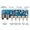 Professional Sound Amplifier Module with Build In Delay And Effects Suitable for Karaoke Systems & Performances