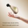 SKG F3-3 Percussion Muscle Massage Gun CN plug (adapter included)