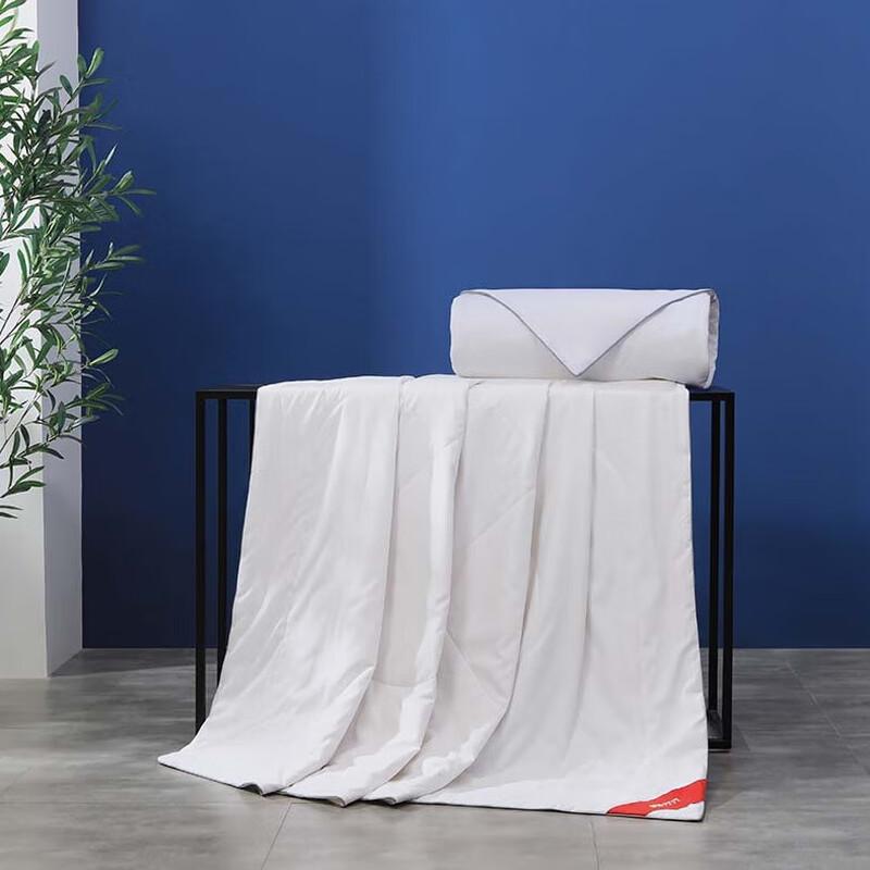 

Mengjie Soft All-Season Mulberry Silk Quilt