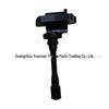 Compatible Ignition Coil for Haval H6, Santa Fe, Landwind X6, Qishi V3, Tengyi V80, Kangsheng (SMW251309)