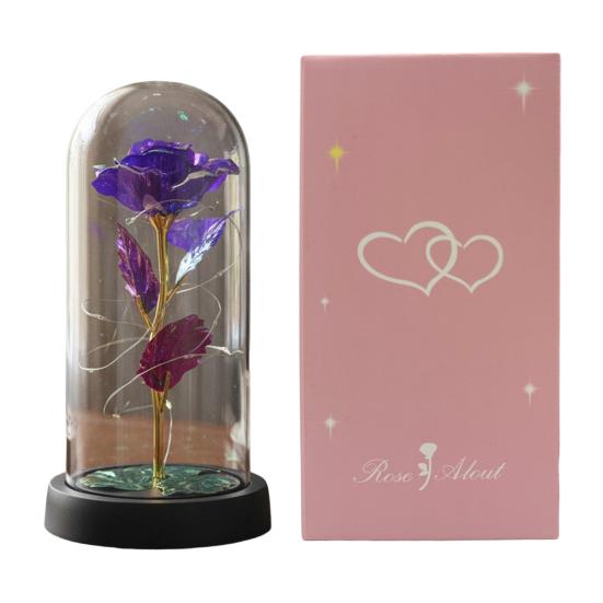 Preserved Rose in Dome with LED Light Artificial Eternal Rose Flower Gifts for Her Mom Women Valentine's Day Mother's Day Christmas Birthday Gift