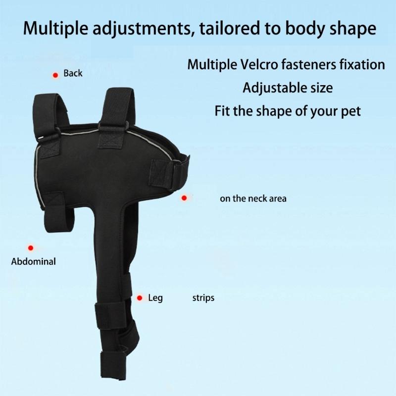 Adjustable Dog Shoulder Brace Front Leg Support for Quick Application Daily Pet Care Routine Outdoor Walking Support