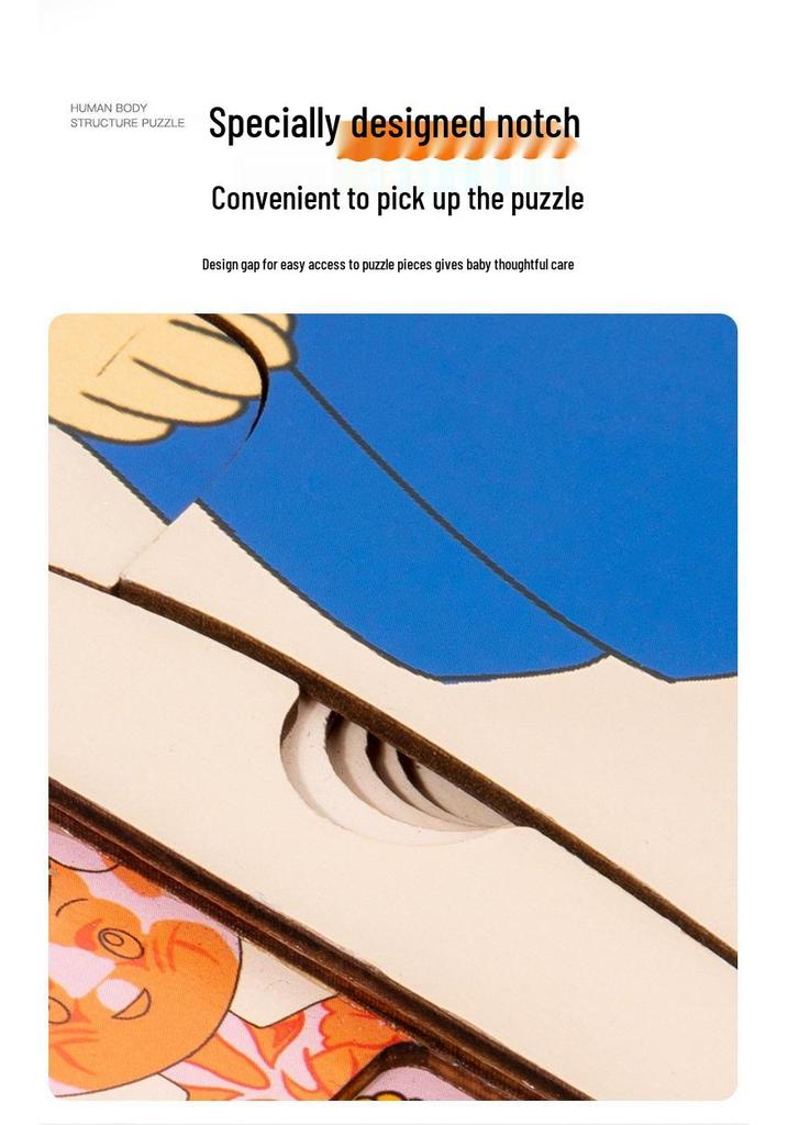 Early Childhood Educational Wooden Puzzle: Multi-layer Body, Brain & Organ Development Toy
