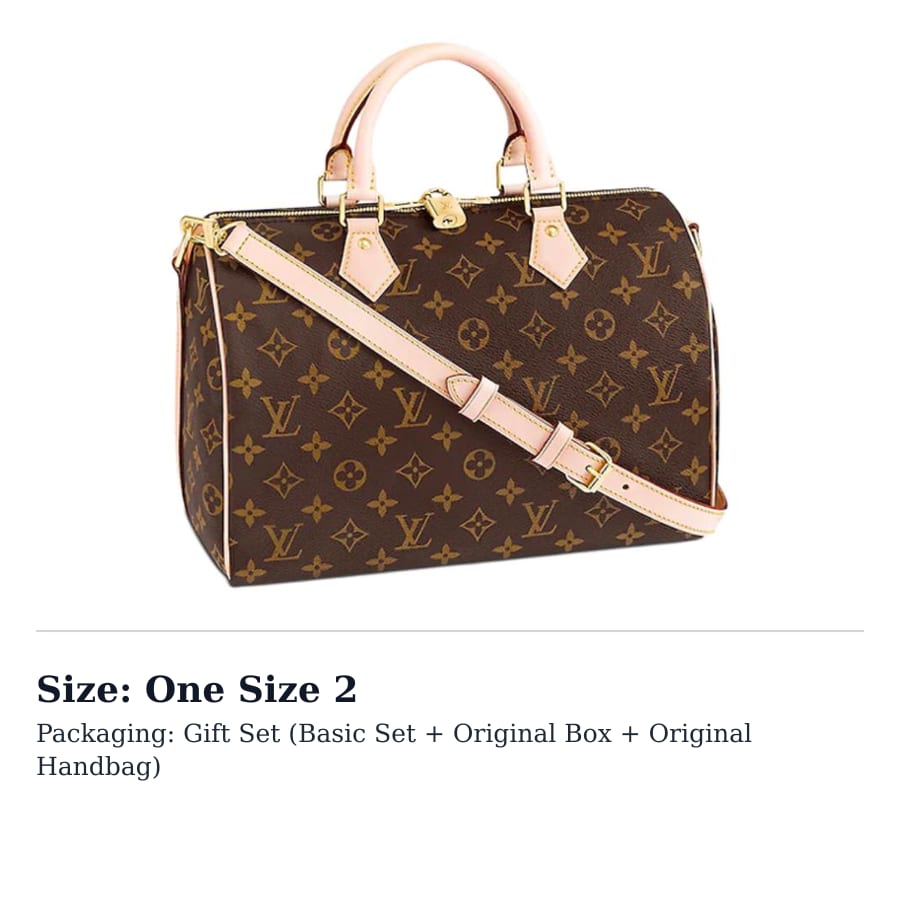 LOUIS VUITTON Speedy Pārklāts Audekls Ar