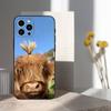 Cute Art Highland Cow For iPhone 12,14,13,15,16,11,17,X,Mini,XR,SE,XS,Plus,Pro,Max,8,7,Soft Silicone Black Case
