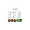 Tombow Colored Pencils, 100 Colors, Book-Type Color Dictionary Set, 100 Colors Featuring All the