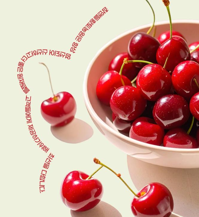 Tangle Kollagen Montmorency Sauerkirsche Gelee-Stick 15 Stück