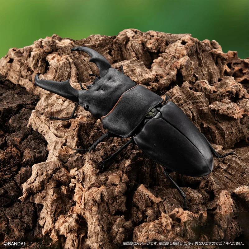 Genuine Gacha Scale Model Biological Cognitive Model Antler Beetle Simulated Moving Insect Action Figure Toys