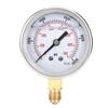 TS‑PGG604‑700bar 1 4BSP Y60 Radial Pressure Gauge for Household Pressure Measurement