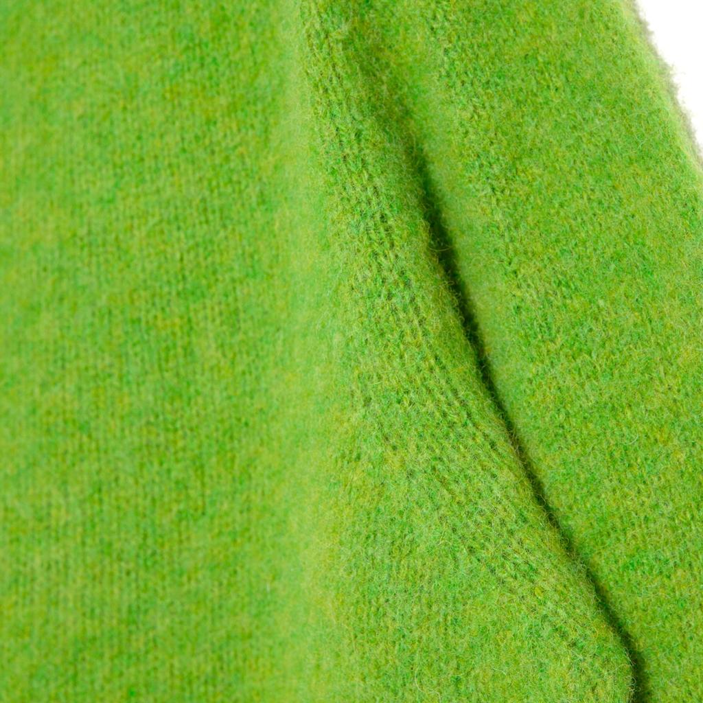 Halliobeuseukoteullaendeu Shaggy Dog Crew Neck Sweater - Garden Leaf