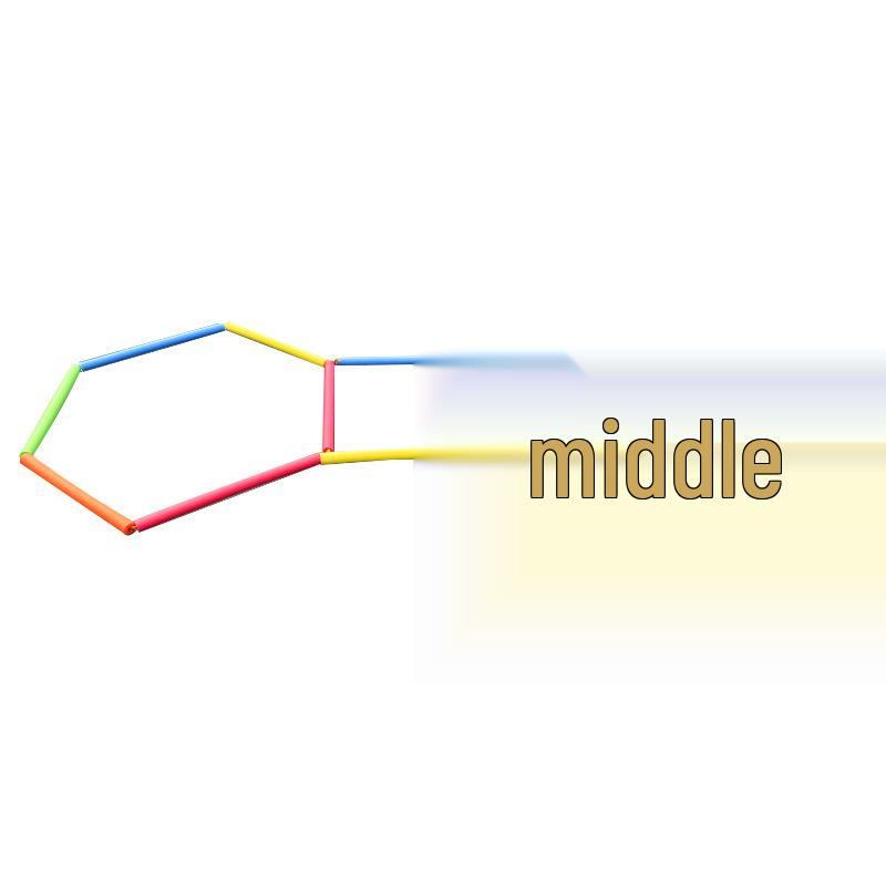 Kindergarten Foam Noodle Sticks: Sensory Training & Hopscotch Toy