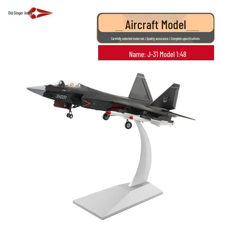 Military Aircraft Scale Models