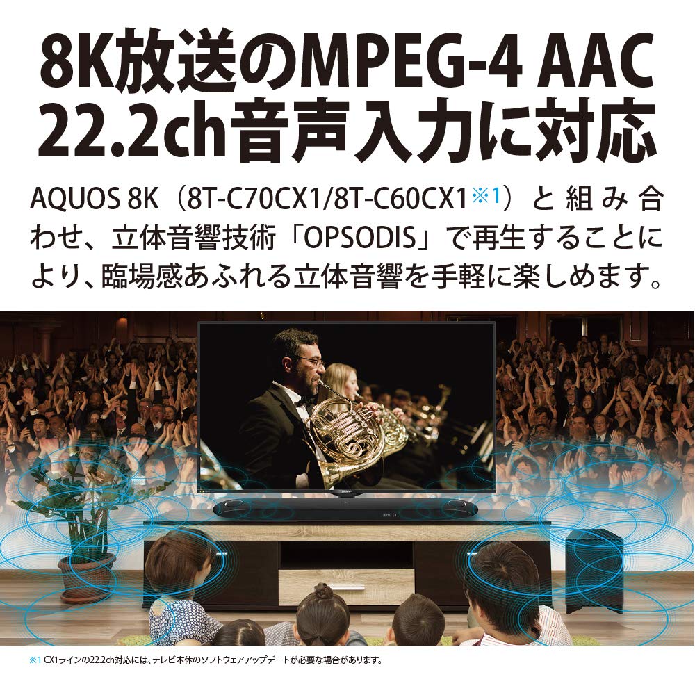 Sharp Theater Bar System AAC Audio Input Compatible High Resolution Playback MPEG-4 22.2ch 8A-C22CX1