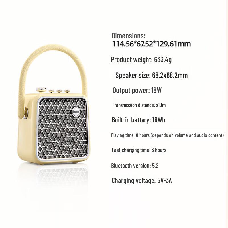 Dianyin Portable Karaoke Speaker with Dual Microphones