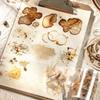 Coffee Stain Die-Cut Adhesive Tape for Journal and Phone Case Decoration