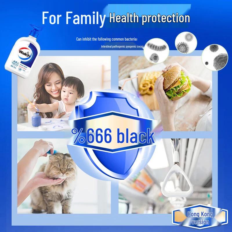 Walch Household Disinfectant & Hand Wash Combo Set