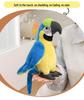 Macaw Plush Bird Doll - Soft Toy for Kids, Boys & Girls Gift