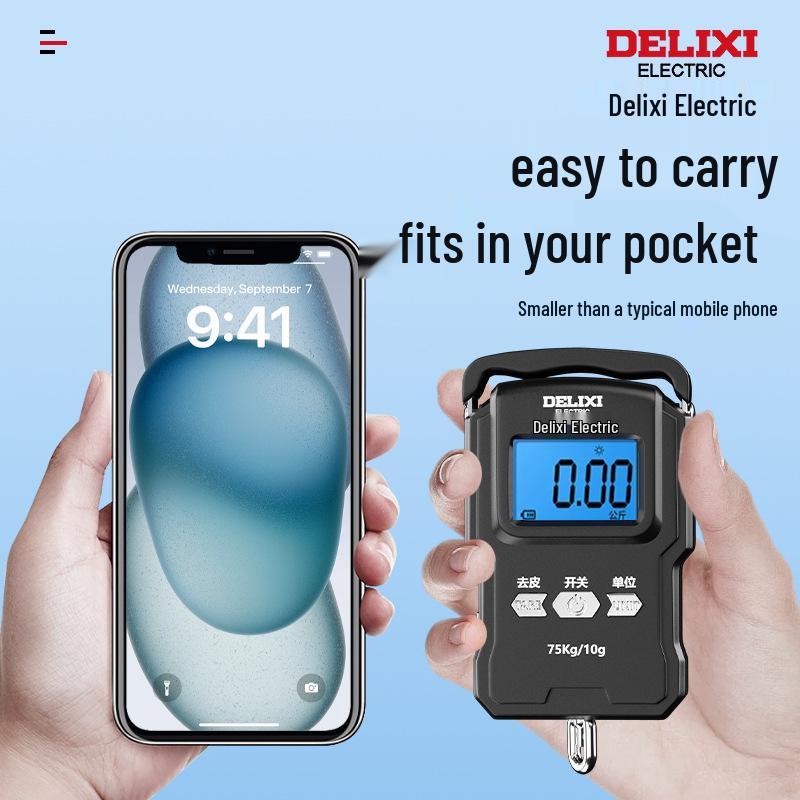 Delixi Electric Portable Handheld Precision Scale for Household Use