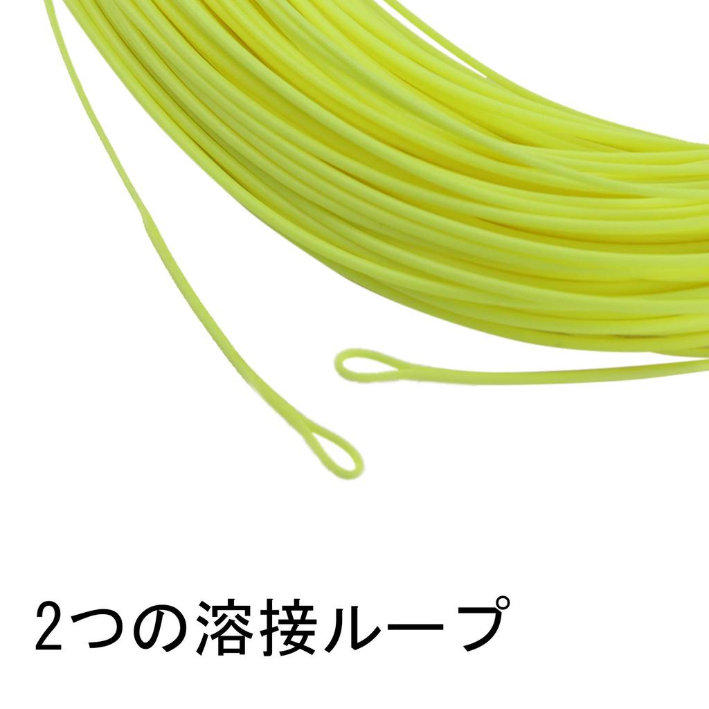 Maxcatch DT Linea da mosca Doppio conico Galleggiante: 1-8F, 100ft DT
