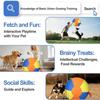 Wear Resistant Giant Herding Ball Tear-Resistant Dog Training Ball Interactive Dog Toy  Training