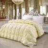 100% Pure Cotton Goose Down Comforter, Five-star Hotel Down Comforter, Winter Thick Comforter, Spring and Autumn Comforter