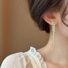 2026 New Wheat Ear Tassel Earrings: Zircon Luxury & Unique Design for Women
