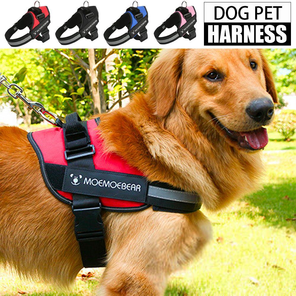 no pull rope dog harness