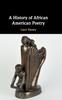A History of African American Poetry Kitabı