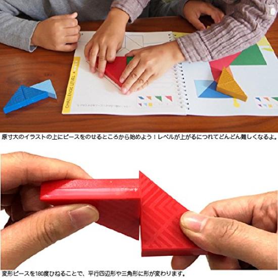 Ed.inter Brain Tangram: A Gift of Knowledge Series