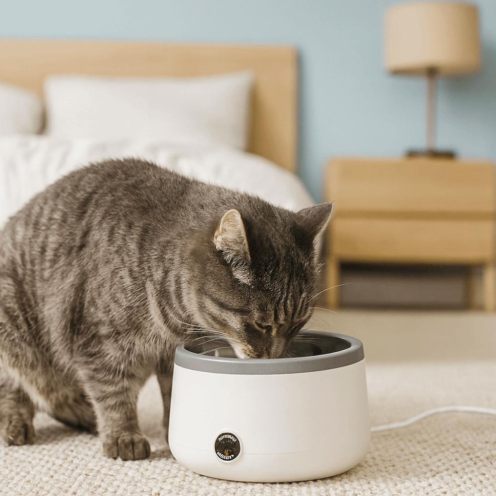 Nerezová vyhřívaná miska na vodu Elektrická termostatická fontána na pití pro domácí mazlíčky Zimní sezóna