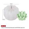 Mi Song Succulent Candle & Soap Silicone Mold for DIY Aromatherapy & Epoxy Crafts