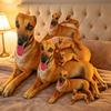 3D Realistisk Vinthund Plyschkudde Liggande Whippet Kawaii Hund Fylld Kudde Simulering Djurdocka Heminredning Samlarobjekt Gåva