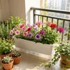Self Watering Seedling Tray Plastic Plant Nursery Pot Balcony Vegetable Pot  Indoor Gardening