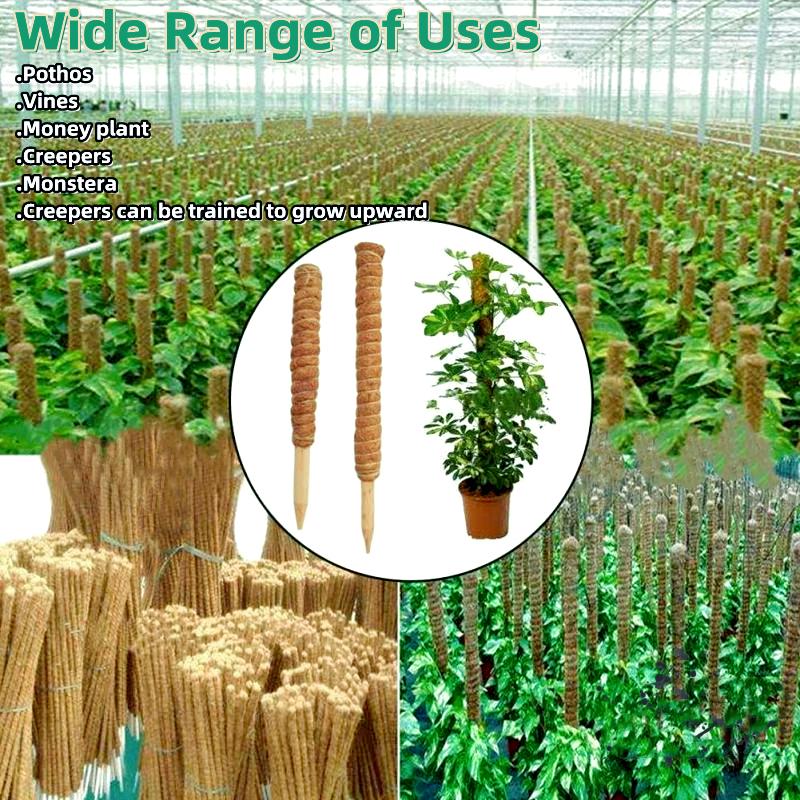 Stackable Potted Plant Climbing Coconut Sticks Vine Support Expansion Houseplant Gardening Supplies Multipurpose Gardening