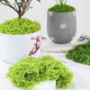 100/150/200/500/1000G Artificial Green Moss DIY Crafts Fairy Gardens Table Centerpieces