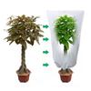 Copertura Piante Invernale Calda Sacca Protettiva Piante Alberi Arbusti Protezione Gelo per Giardino Cortile Piante Albero Piccolo Contro il Freddo