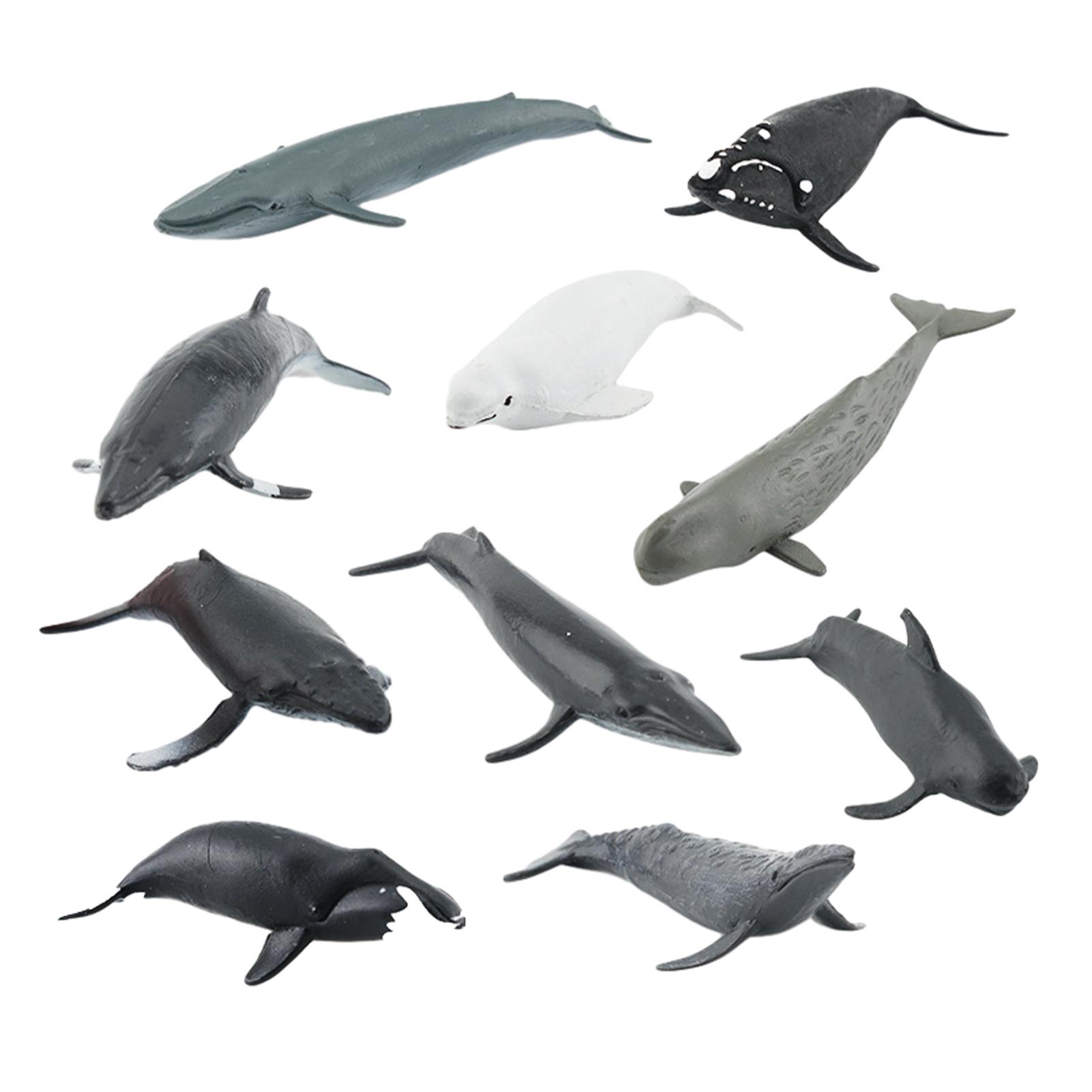 

Набор из 10 фигурок морских животных океана, прочные и надежные подарки, реалистичные фигурки китов, игрушка