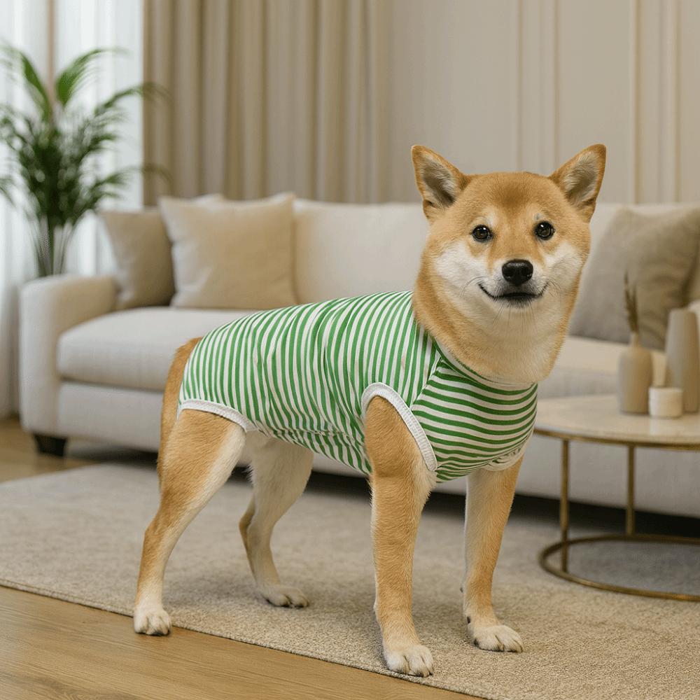 Elastischer Hunde-Reha-Anzug Waschbares Gestreiftes Design Anti-Leck-Body Vierbeiniger Haustier-Sterilisationsanzug Wundschutz