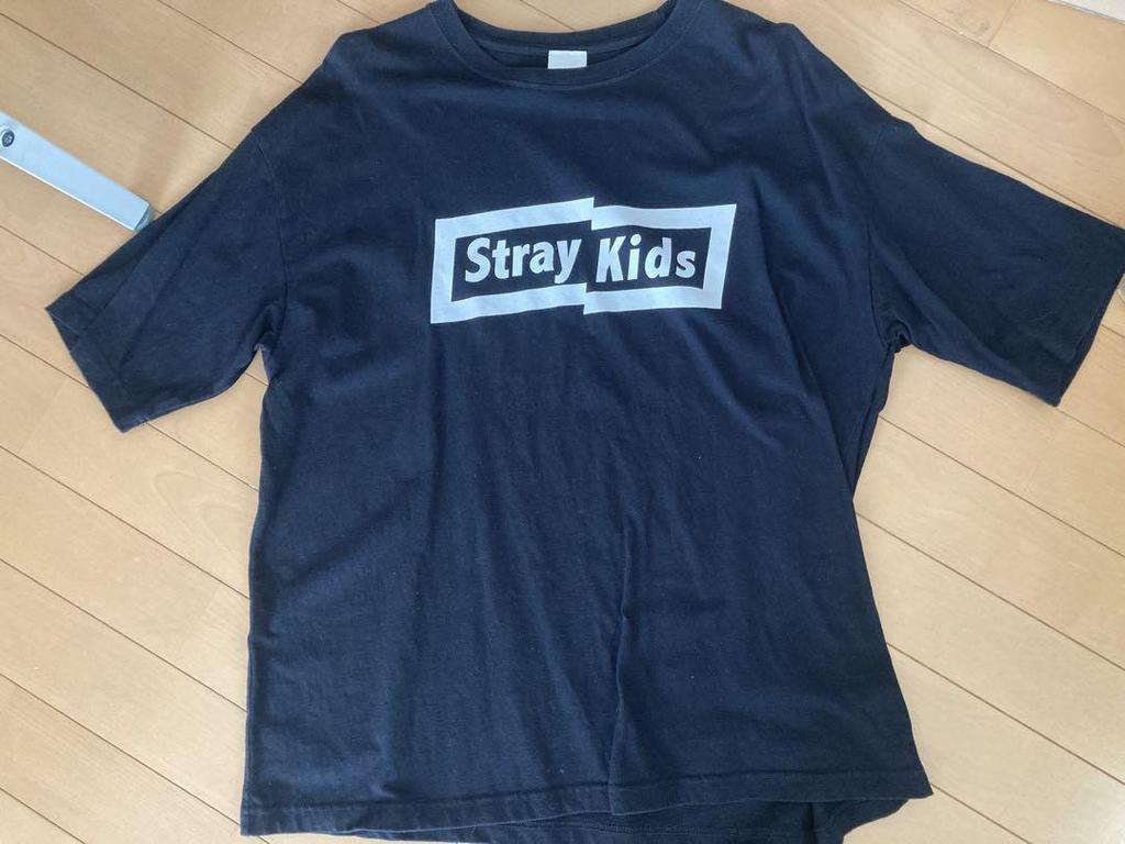 [USED] Straykids WEGO Collaboration T-shirt, Size M, SKIZ