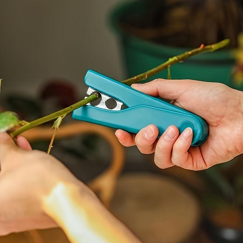 Stainless Steel Rose Thorn Remover | Contemporary Style, Blade Material: Stainless Steel, 4.5 Inch Length, Ideal for Floral Arrangement and Gardening