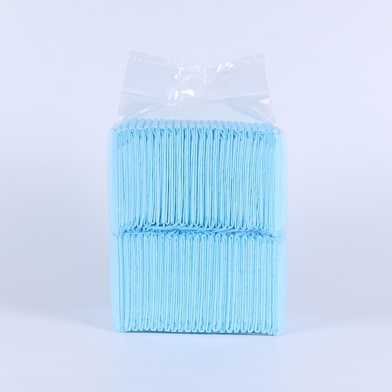 Economy Absorbent Pet Training Pads for Dogs and Cats - Disposable Urine Pads & Pet Diapers