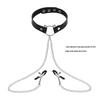 Elegant Choker with Nipple Clamps: Adult Training & Flirting Toy for Couples