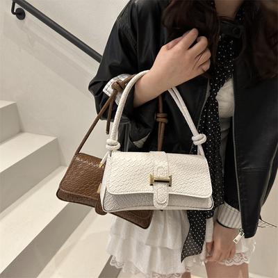 Portable Small Bag Women's Bag 2025 Season Popular New Trendy Fashion Shoulder Bag Contrasting Color Trendy Messenger Small Square Bag