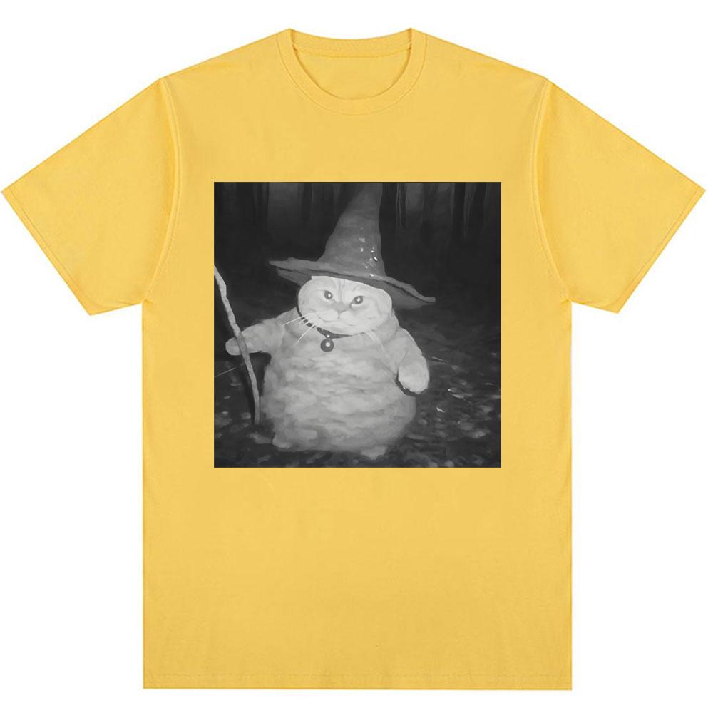 Fat Wizard Cat Funny Meme Graphic T Shirts Trend Humor Joke Novelty Men Women Short Sleeve Oversized 100% Cotton Vintage T-shirt