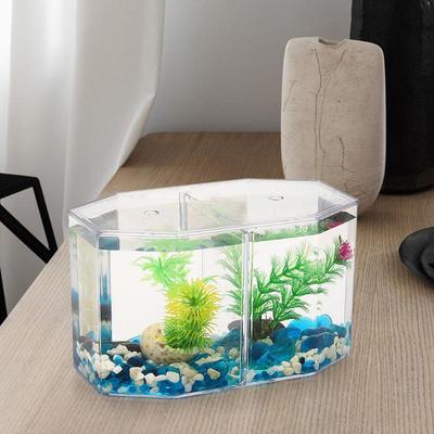 Double Compartment Fighting Fish Box Eco Rumble Fish Aquarium  Aquarium Plastic Isolation Box Breeding Box